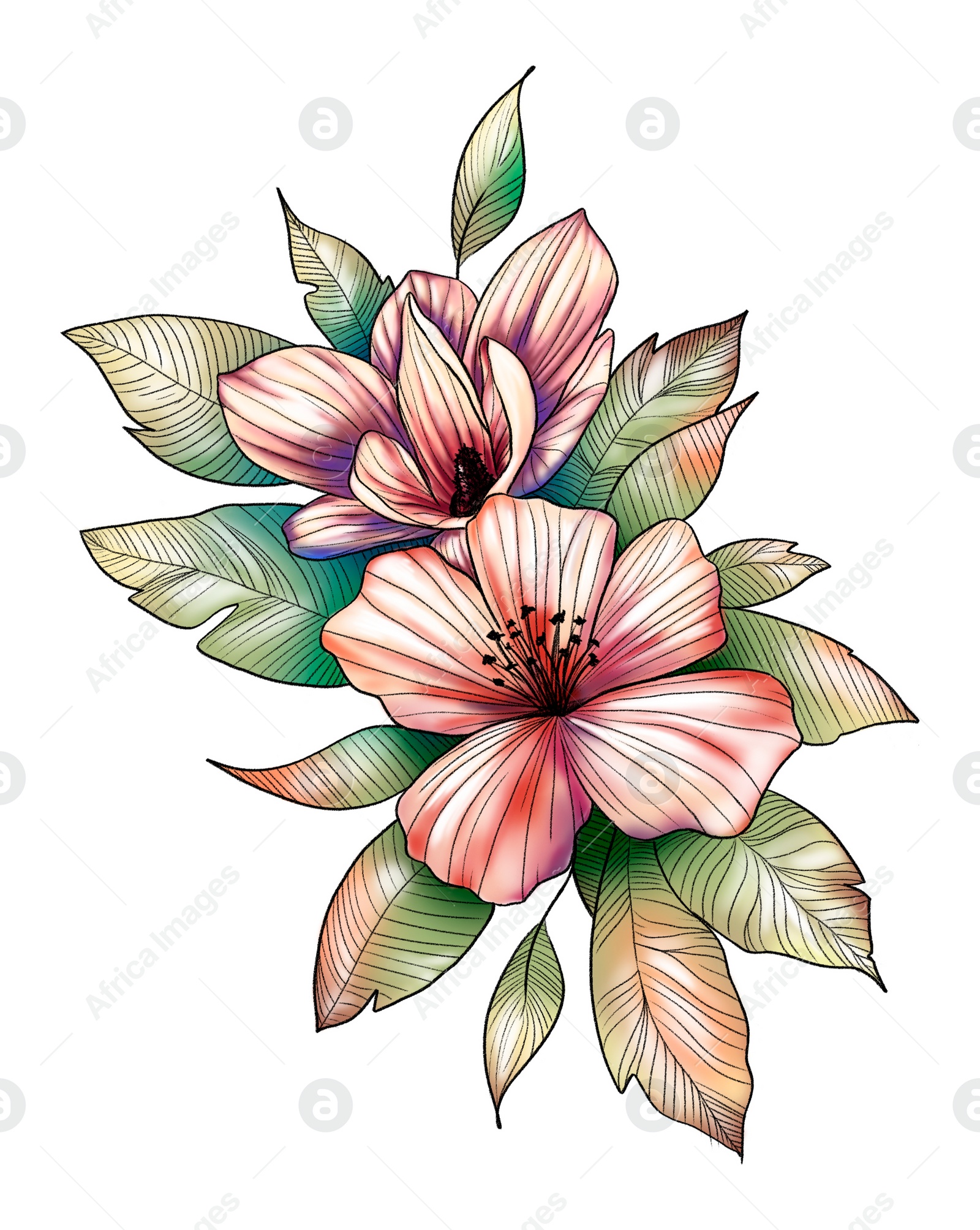 Illustration of Beautiful flowers with leaves on white background. Color illustration