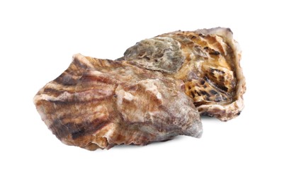 Photo of Fresh raw closed oysters on white background