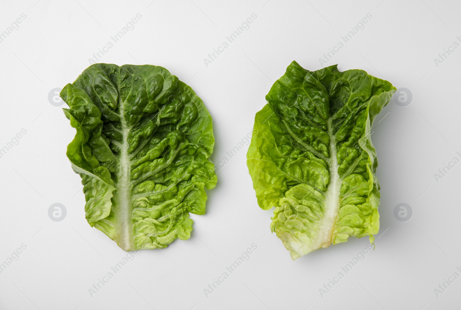 Photo of Fresh leaves of green romaine lettuce isolated on white, top view