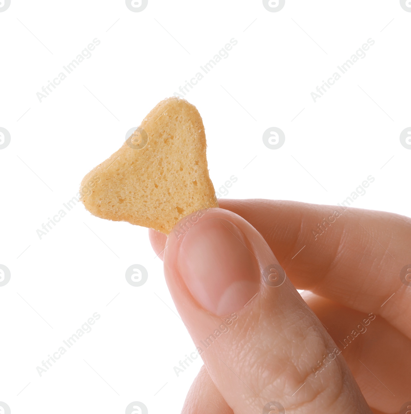 Photo of Woman holding crispy rusk on white background, closeup