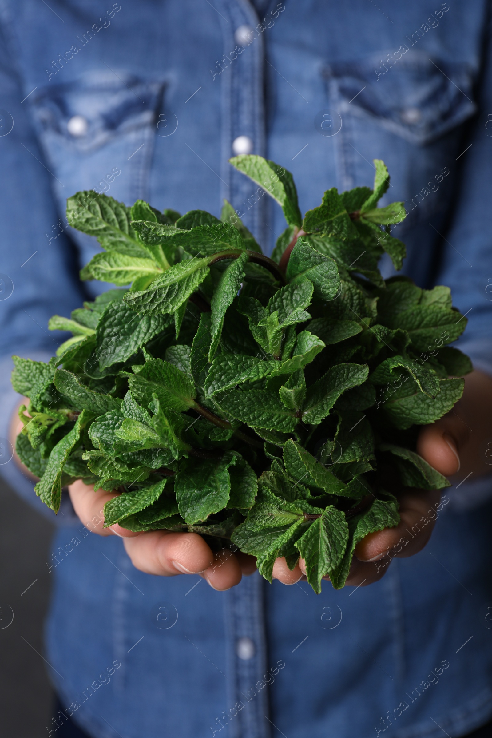 Photo of Young woman holding bunch of fresh mint, closeup