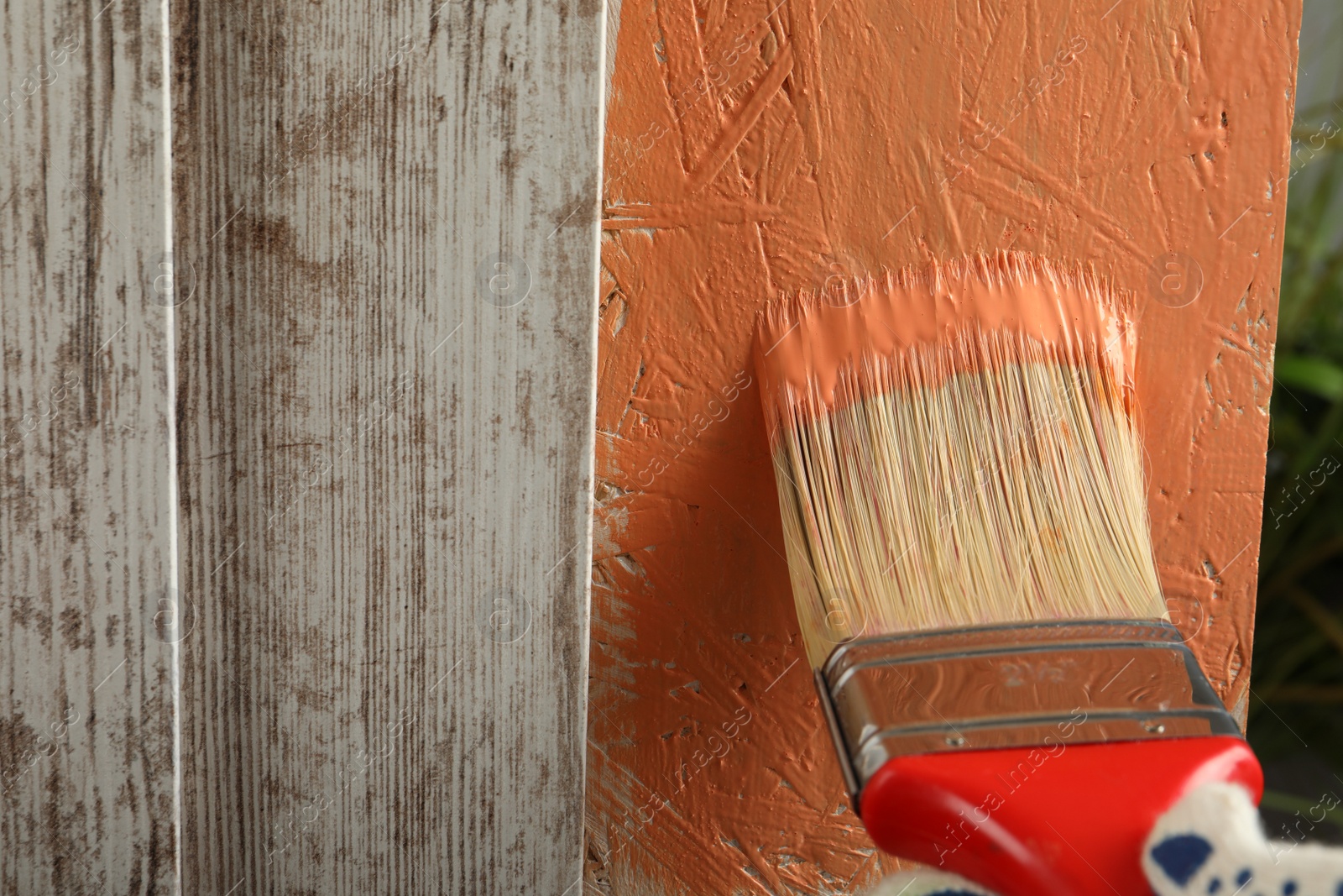 Photo of Worker applying coral paint onto wooden surface, closeup. Space for text