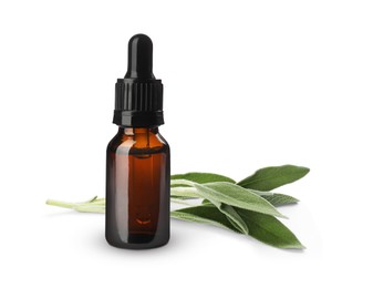 Image of Bottle of sage essential oil and green leaves on white background