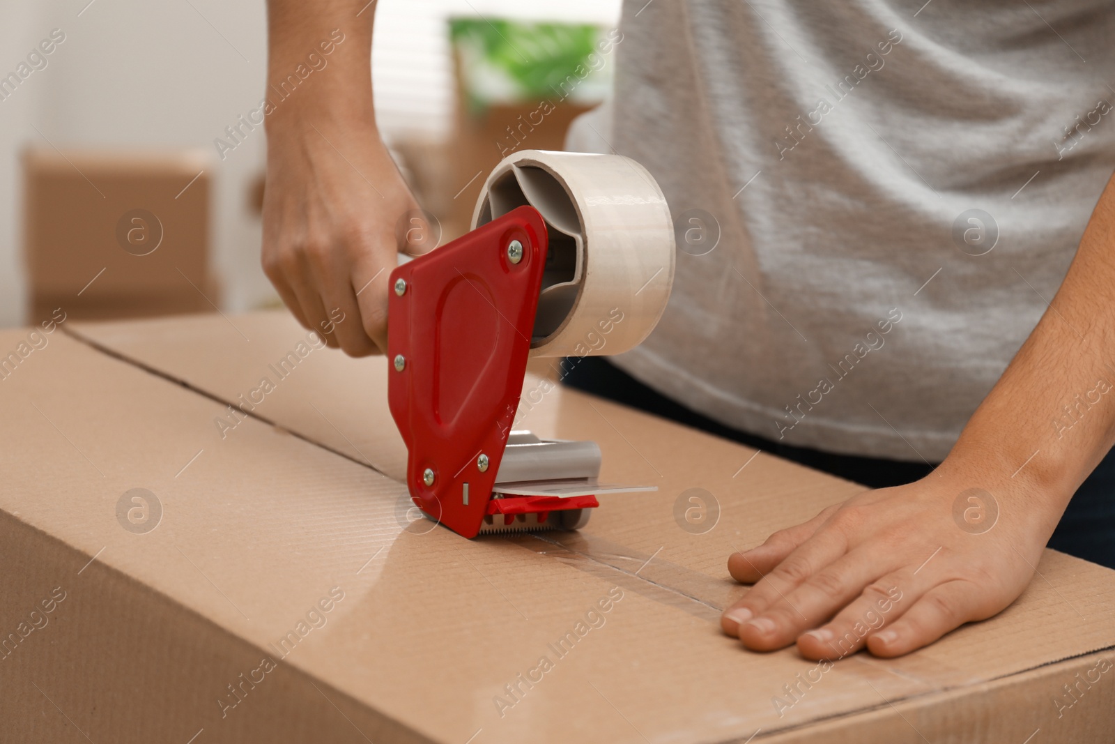 Photo of Woman packing cardboard box indoors, closeup. Moving day