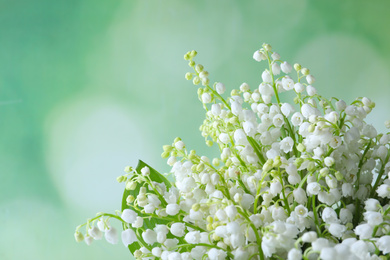 Beautiful lily of the valley flowers on green background