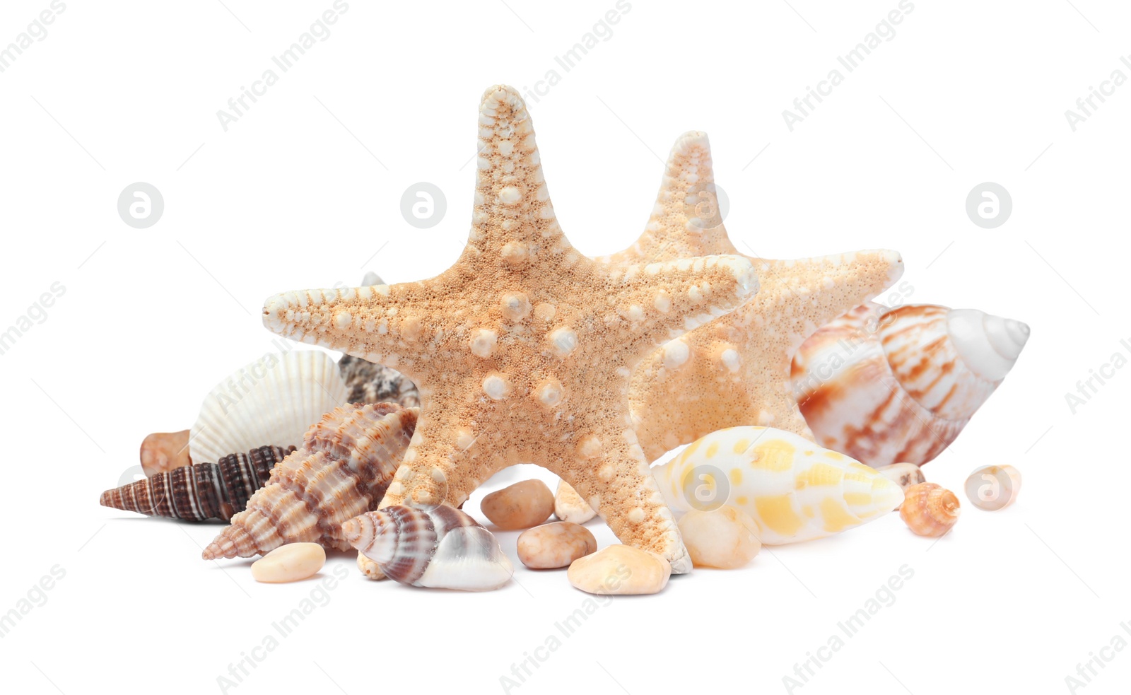 Photo of Beautiful sea stars and seashells on white background