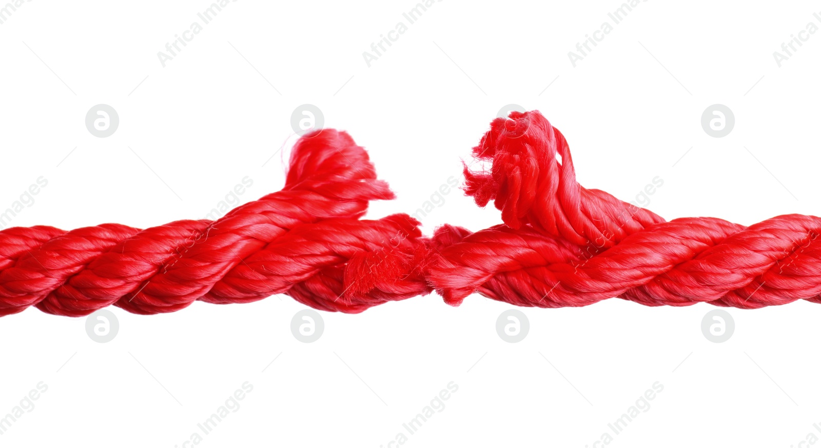 Photo of Rupture of red climbing rope on white background