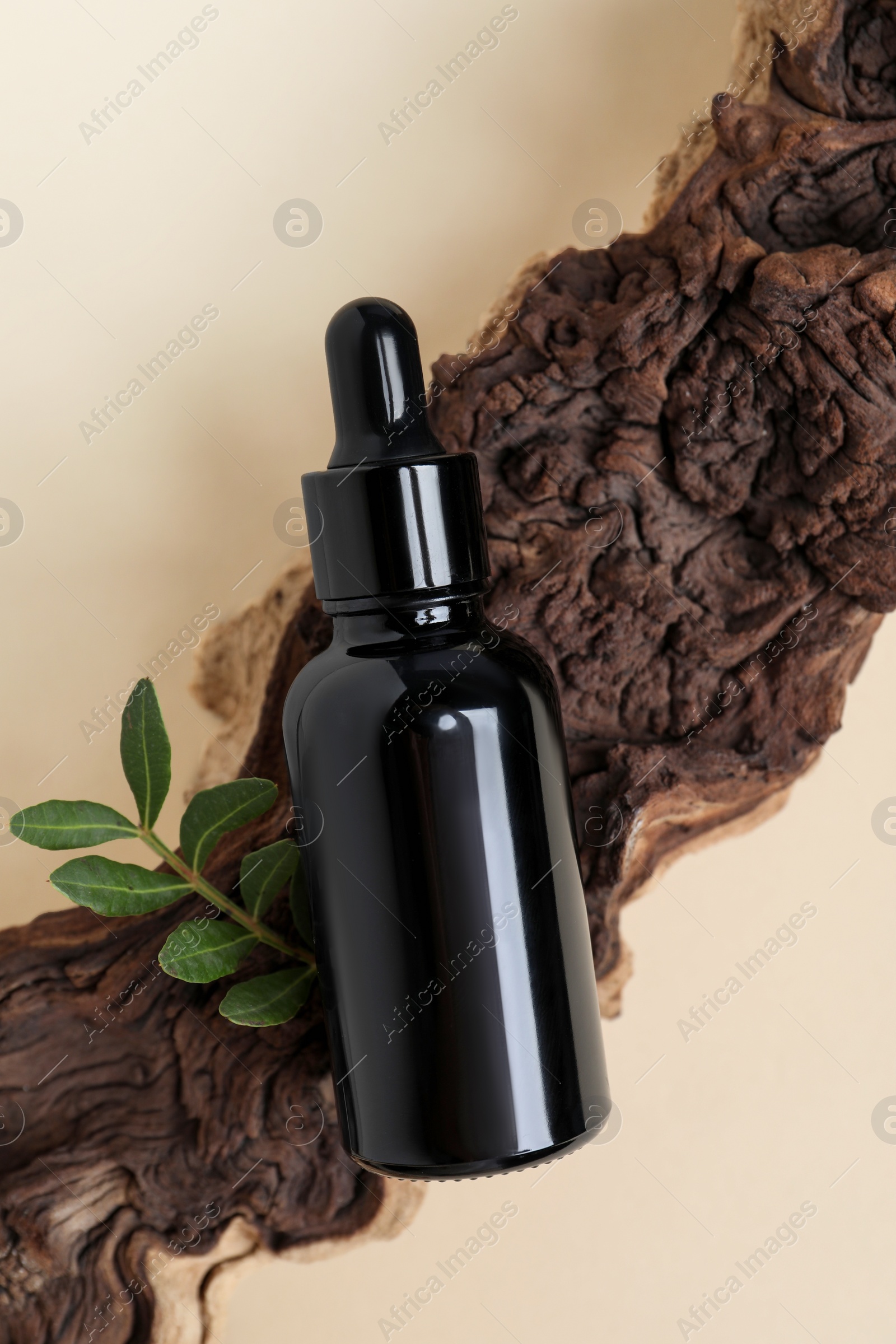 Photo of Bottle with cosmetic oil, green leaves and wooden snag on beige background, top view