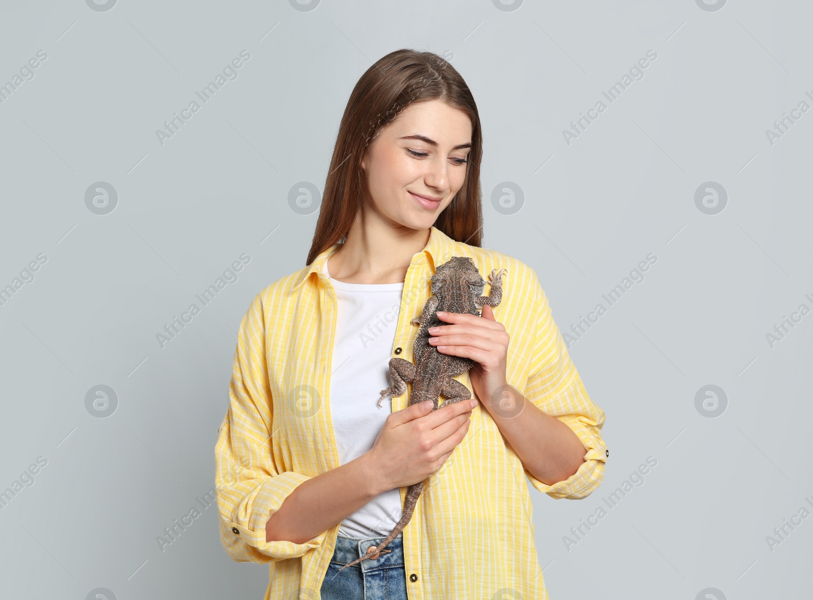 Photo of Woman holding bearded lizard on grey background. Exotic pet