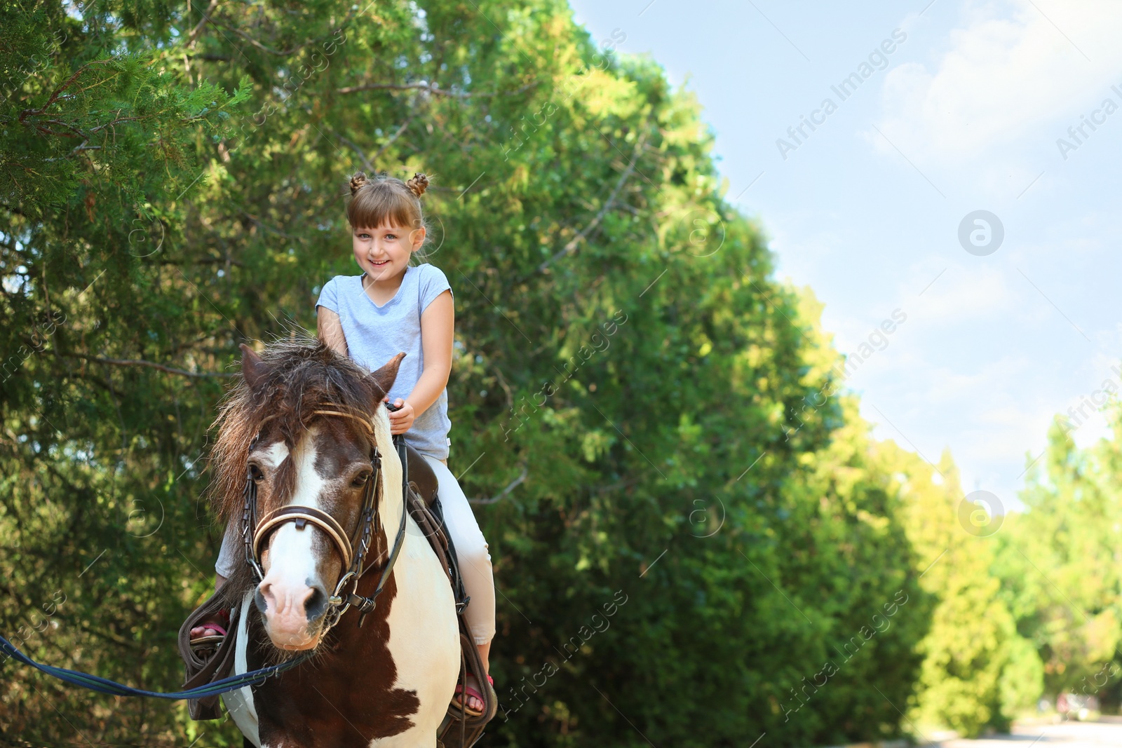 Photo of Cute little girl riding pony in green park