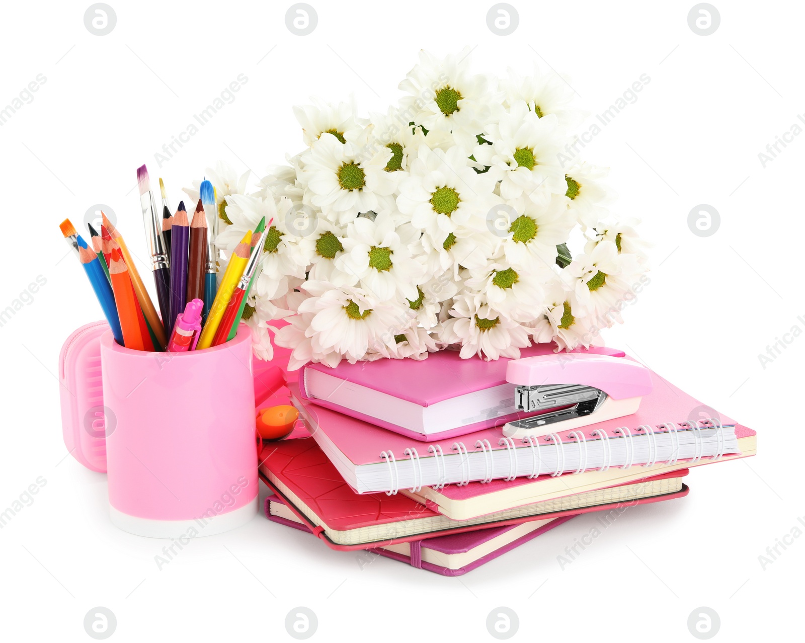 Photo of Beautiful flowers and stationery on white background. Teacher's Day