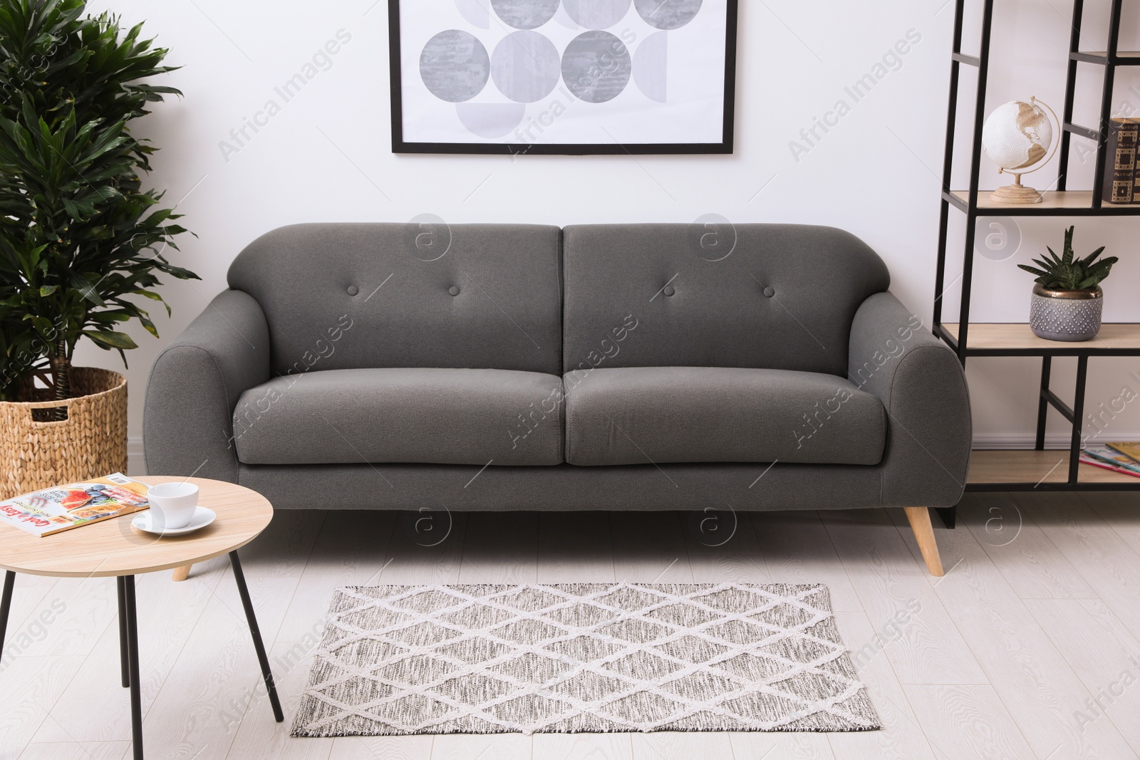 Photo of Stylish living room interior with grey rug, comfortable sofa and plants