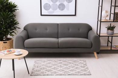 Stylish living room interior with grey rug, comfortable sofa and plants