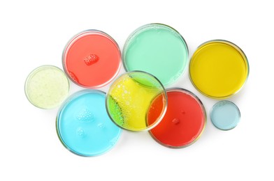 Photo of Petri dishes with different liquid samples on white background, top view