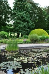 Photo of Beautiful pond with blooming waterlilies in garden