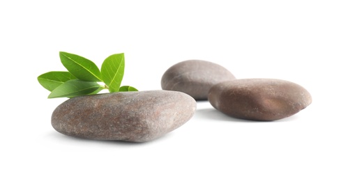 Spa stones with green branch isolated on white