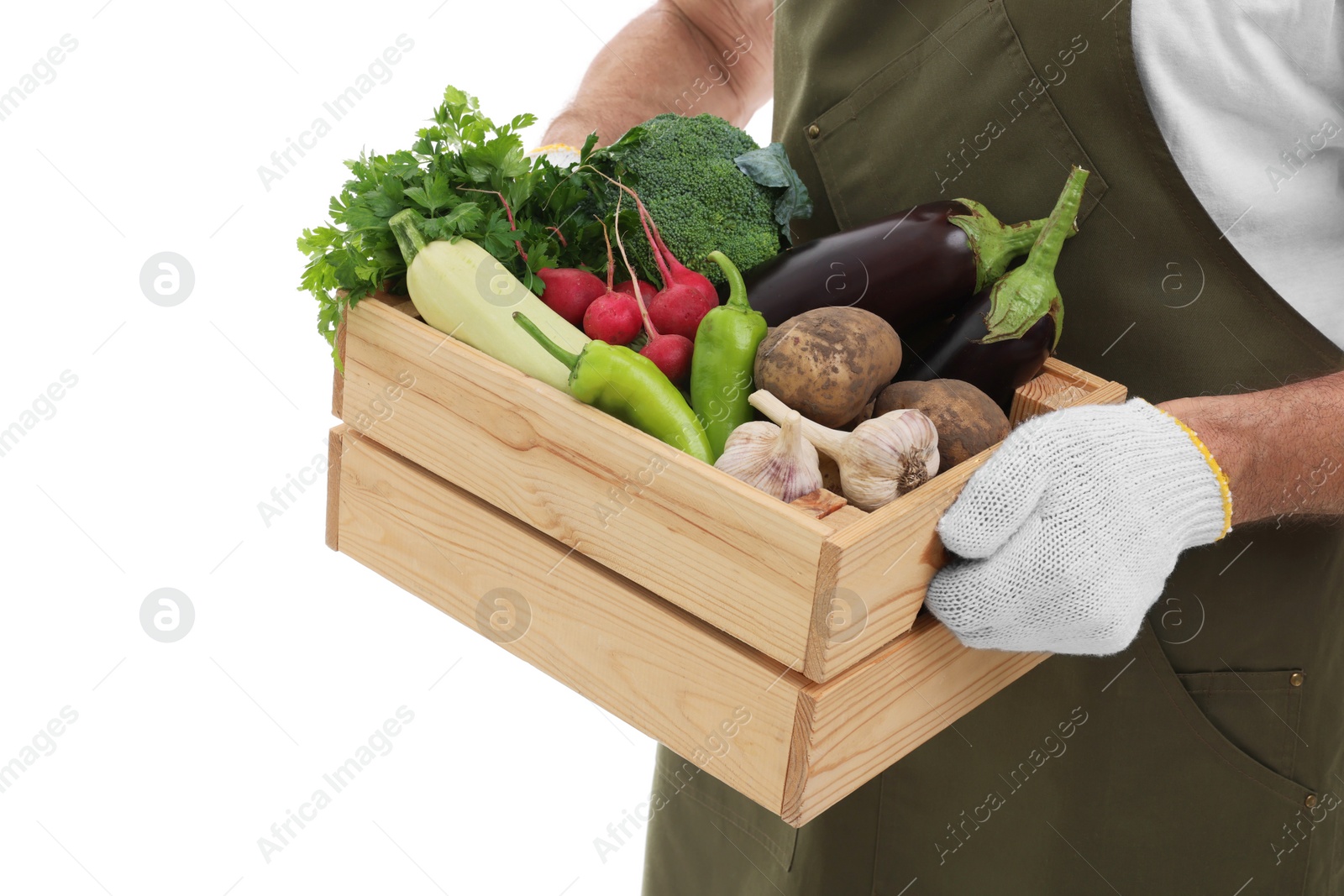 Photo of Harvesting season. Farmer holding wooden crate with vegetables on white background, closeup