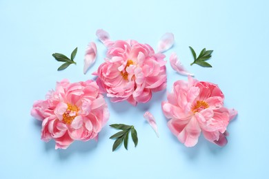 Photo of Beautiful pink peonies on light turquoise background, flat lay