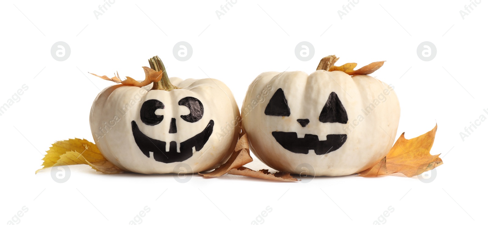 Photo of Cute Halloween pumpkins and autumn leaves on white background