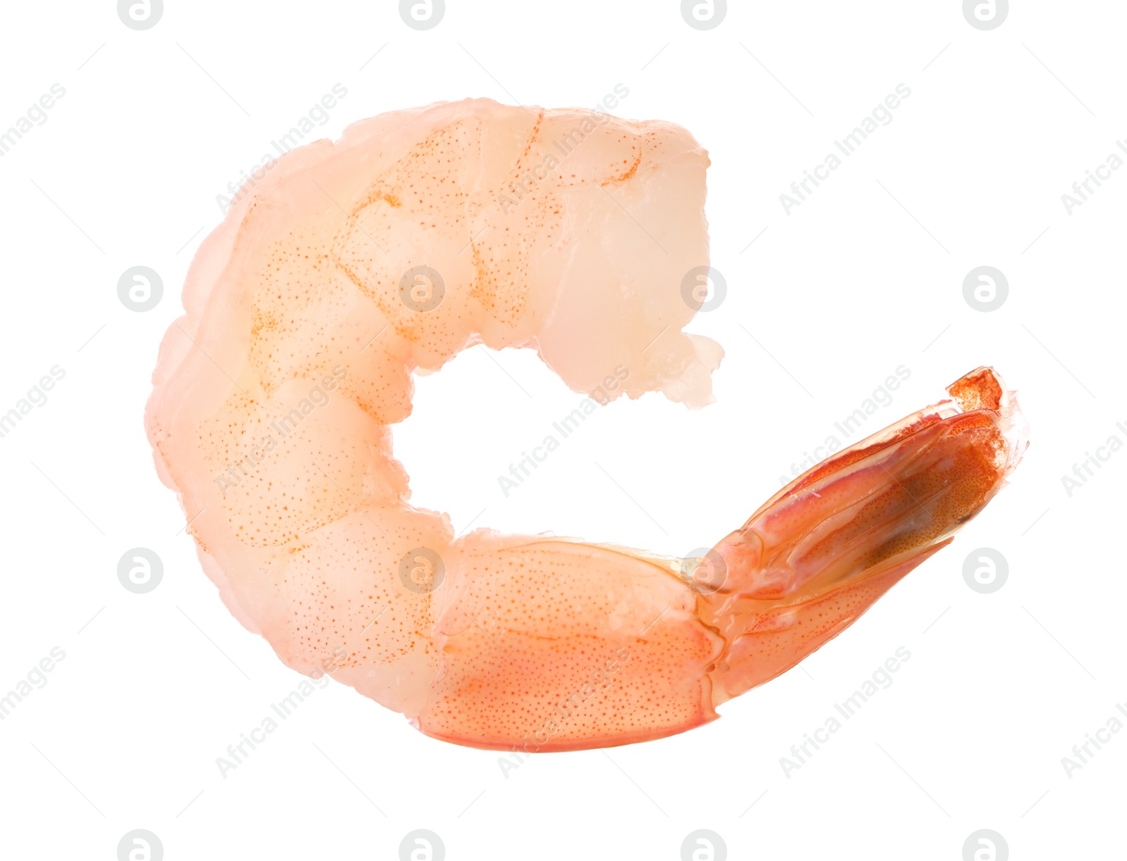 Photo of Freshly cooked delicious shrimp isolated on white