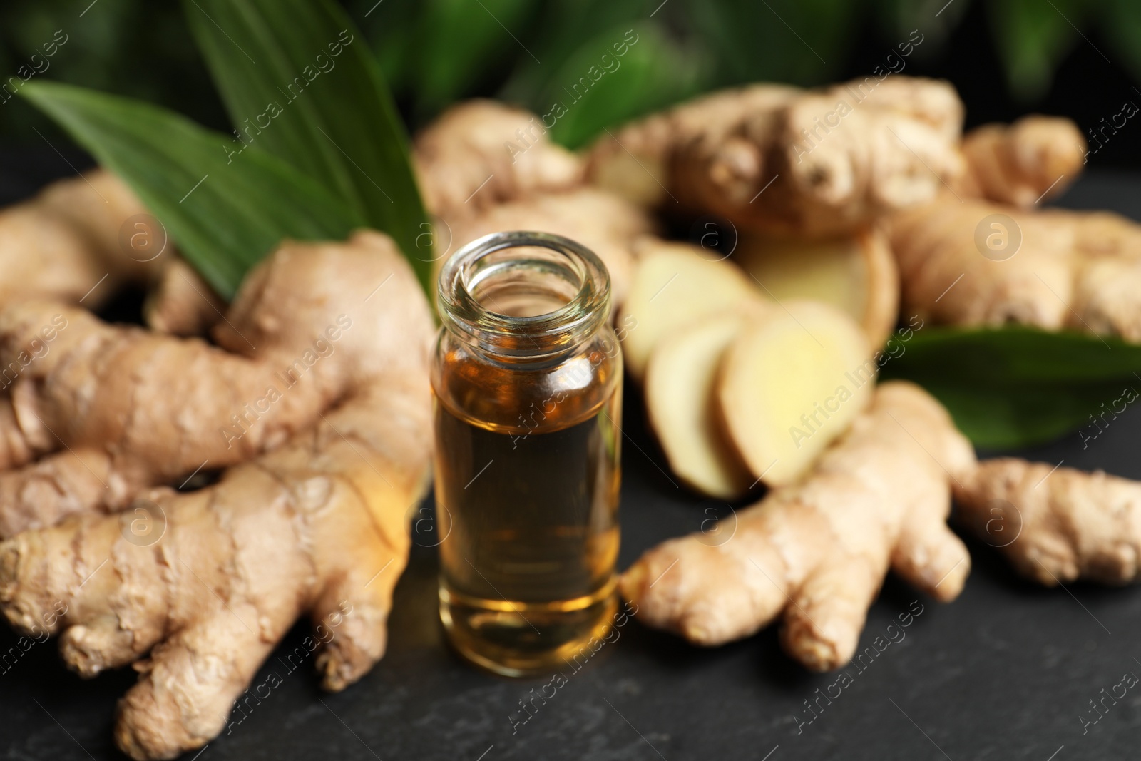 Photo of Ginger essential oil in bottle on dark table