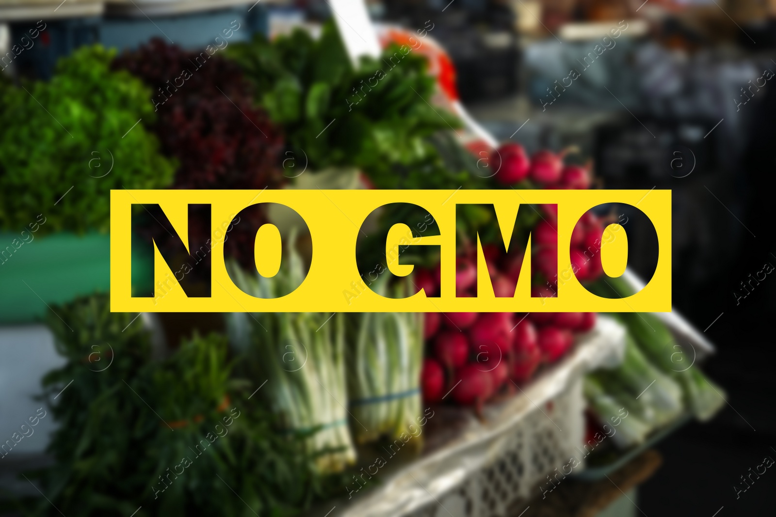 Image of GMO free products. Blurred view of fresh ripe vegetables on counter at wholesale market