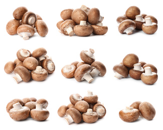 Image of  Set with fresh champignon mushrooms on white background