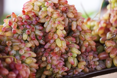 Photo of Fresh ripe juicy grapes on tray against blurred background