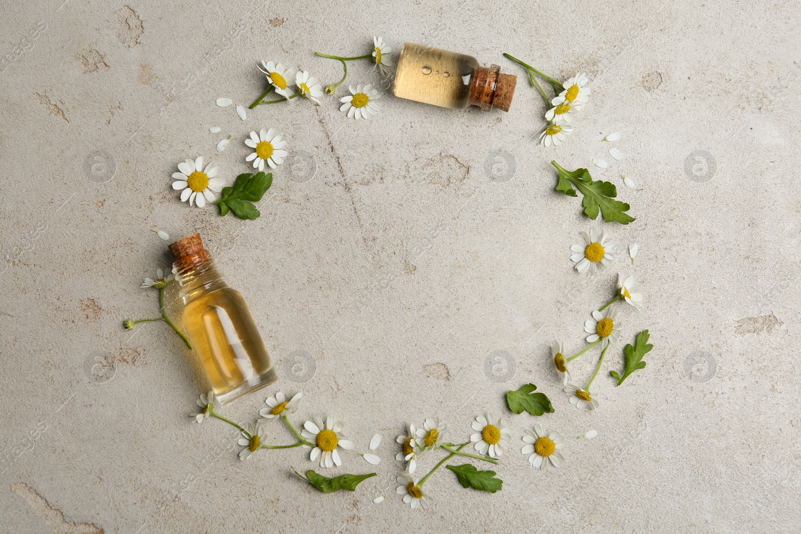 Photo of Frame made with bottles of essential oil and chamomiles on light grey stone background, flat lay. Space for text