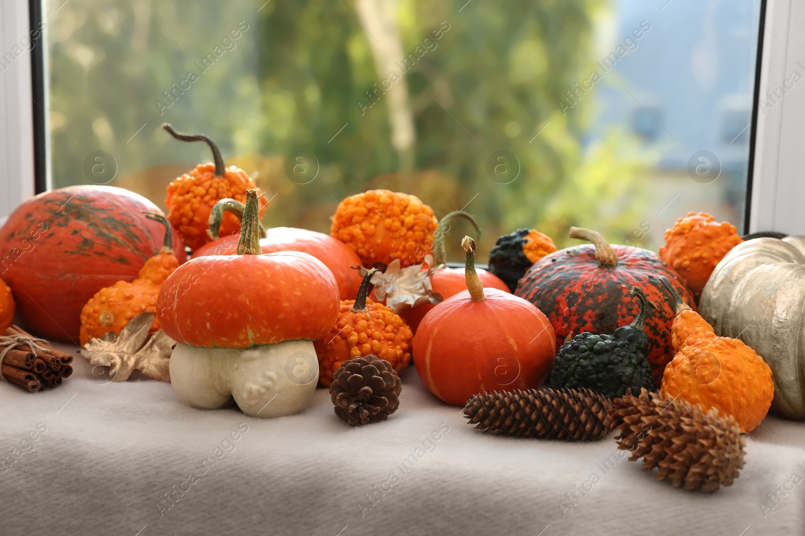 Photo of Different pumpkins and pine cones on window sill indoors