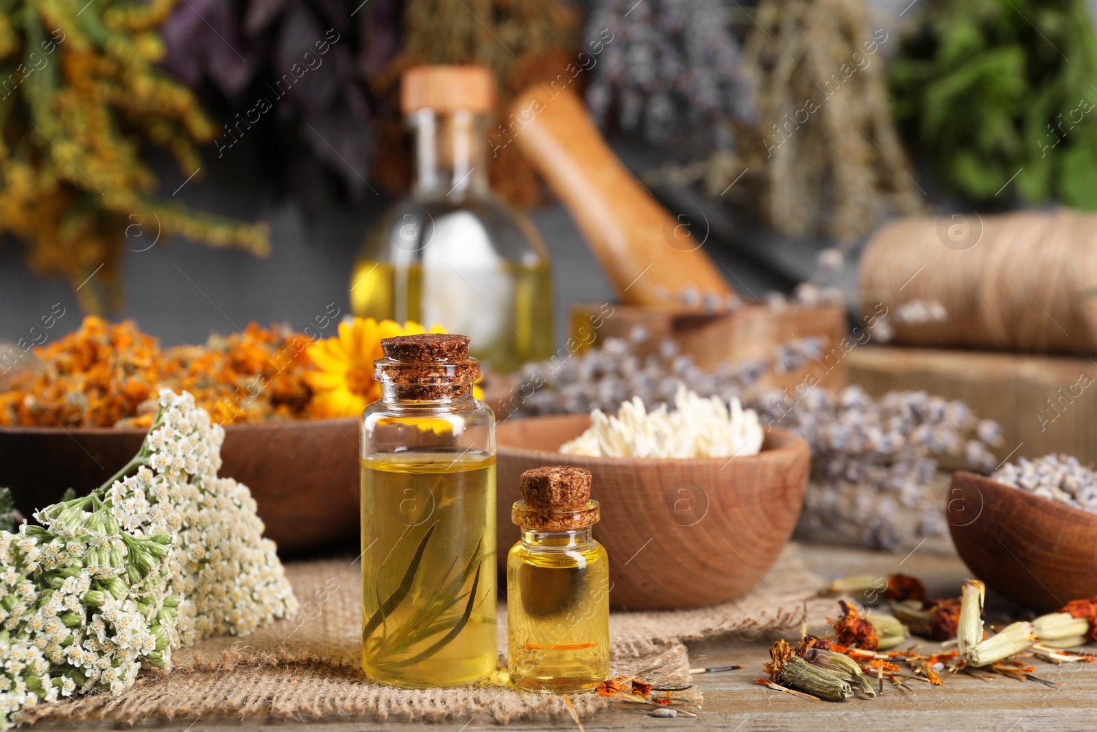 Photo of Bottles of essential oils and different herbs on wooden table