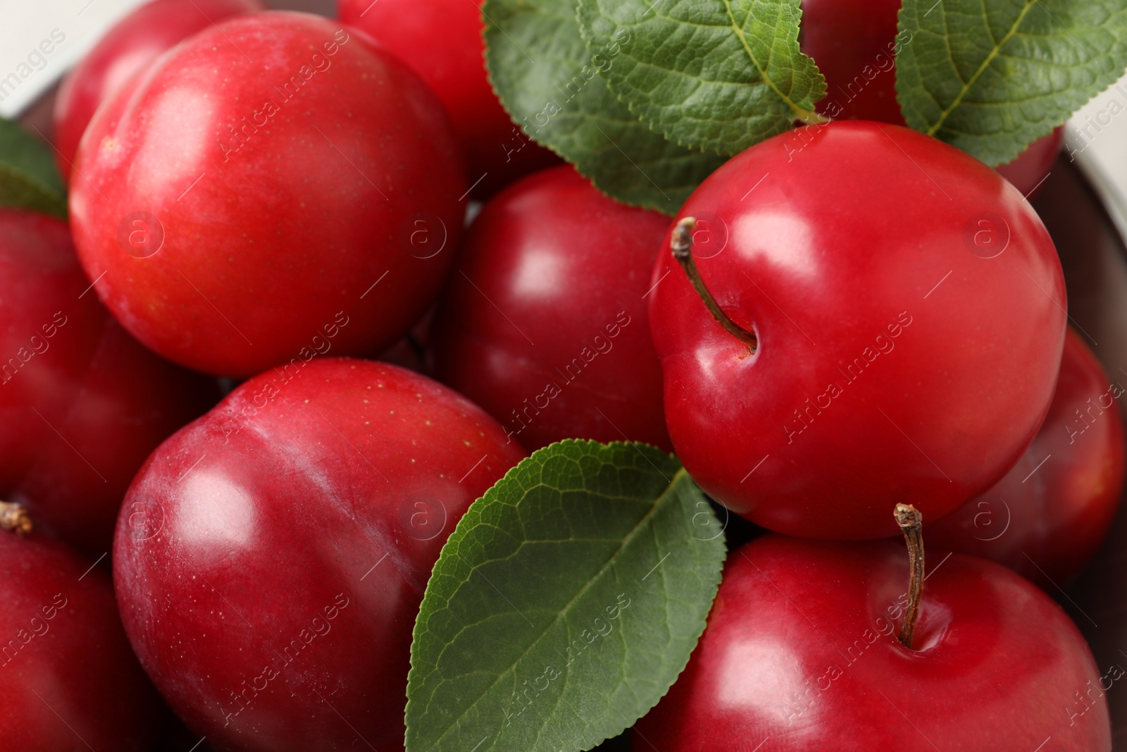 Photo of Delicious ripe cherry plums with leaves, closeup