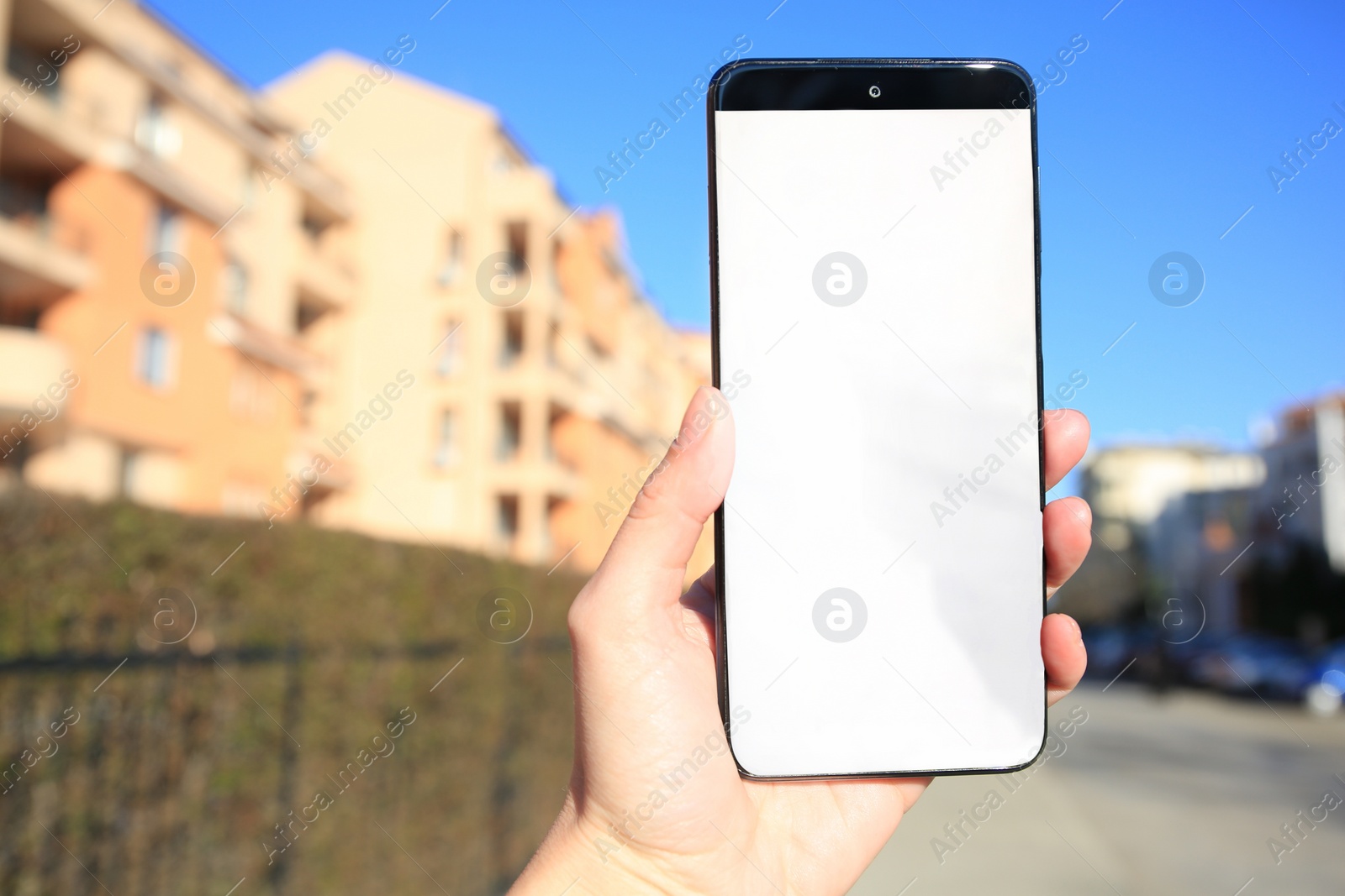 Photo of Man using weather forecast app on smartphone outdoors on sunny day, closeup. Space for text