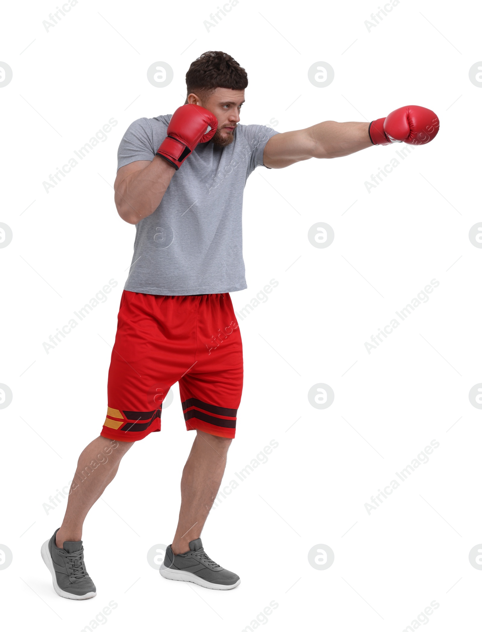 Photo of Man in boxing gloves fighting on white background