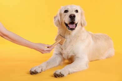 Photo of Woman brushing cute Labrador Retriever dog's hair on yellow background, closeup
