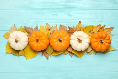 Photo of Flat lay composition with pumpkins and autumn leaves on light blue wooden table
