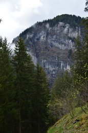 Photo of Picturesque view of beautiful mountains and green trees under sky