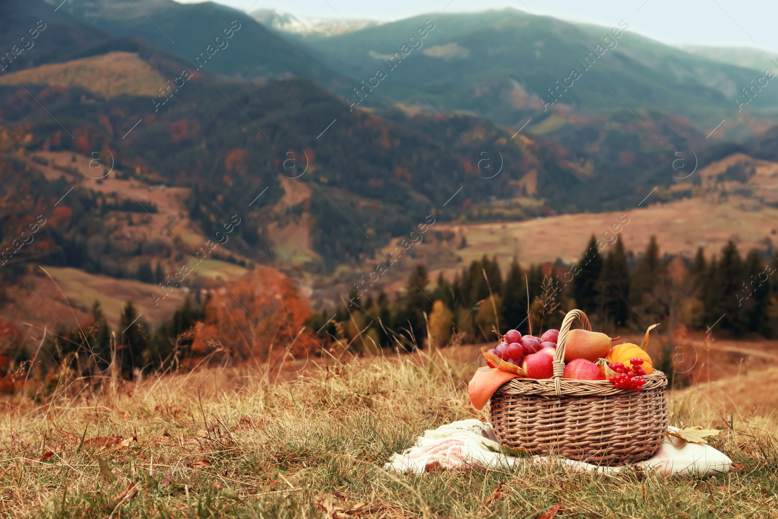 Image of Wicker picnic basket with fruits, autumn leaves and plaid in mountains, space for text