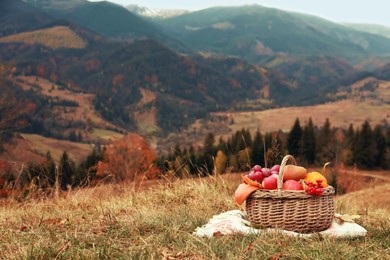 Image of Wicker picnic basket with fruits, autumn leaves and plaid in mountains, space for text