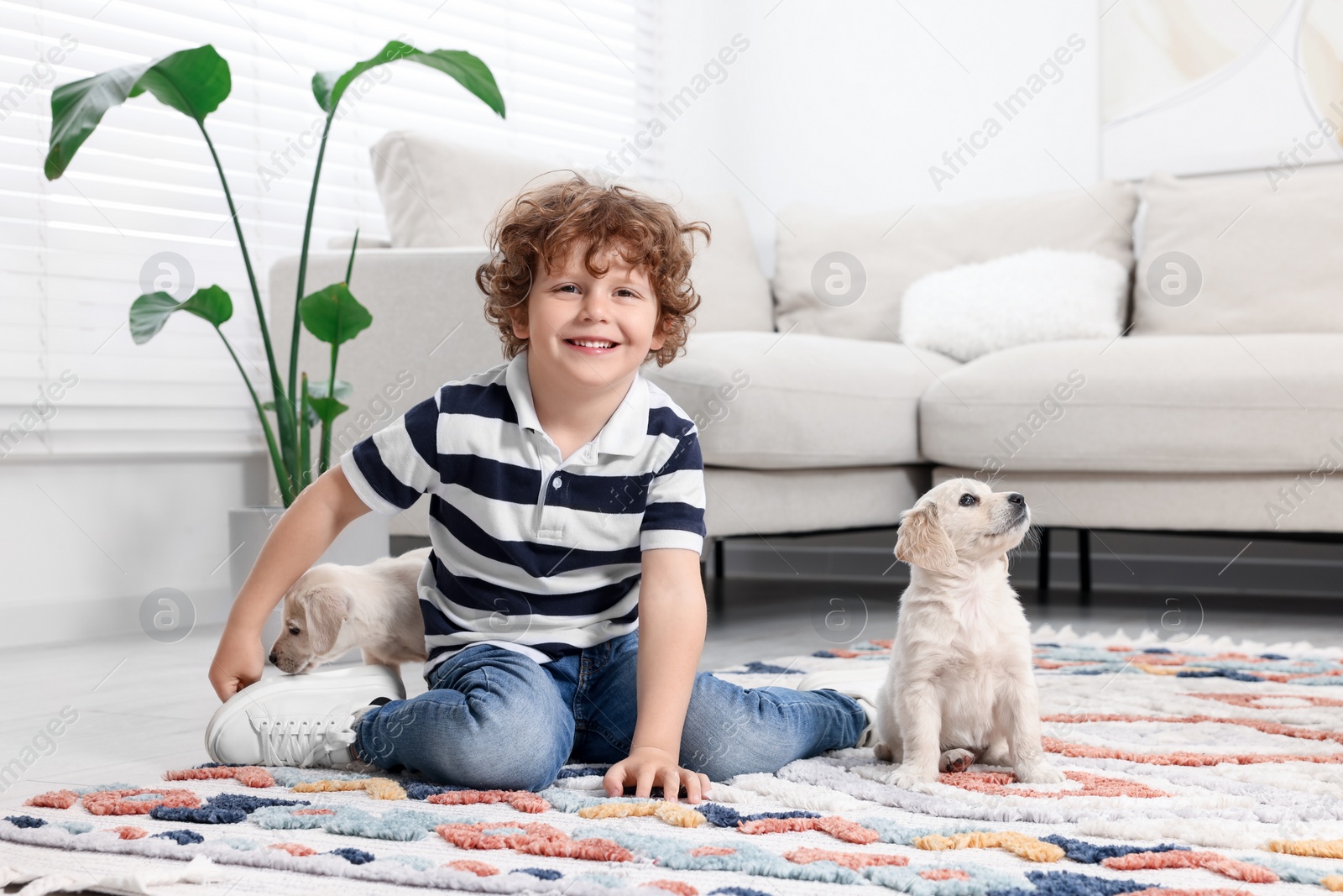 Photo of Little boy with cute puppies on carpet at home