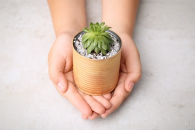 Child holding painted tin can with beautiful succulent at light table, closeup