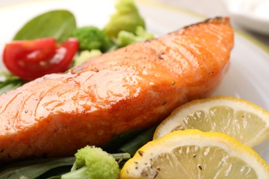 Healthy meal. Piece of grilled salmon, vegetables, lemon and spinach on table, closeup