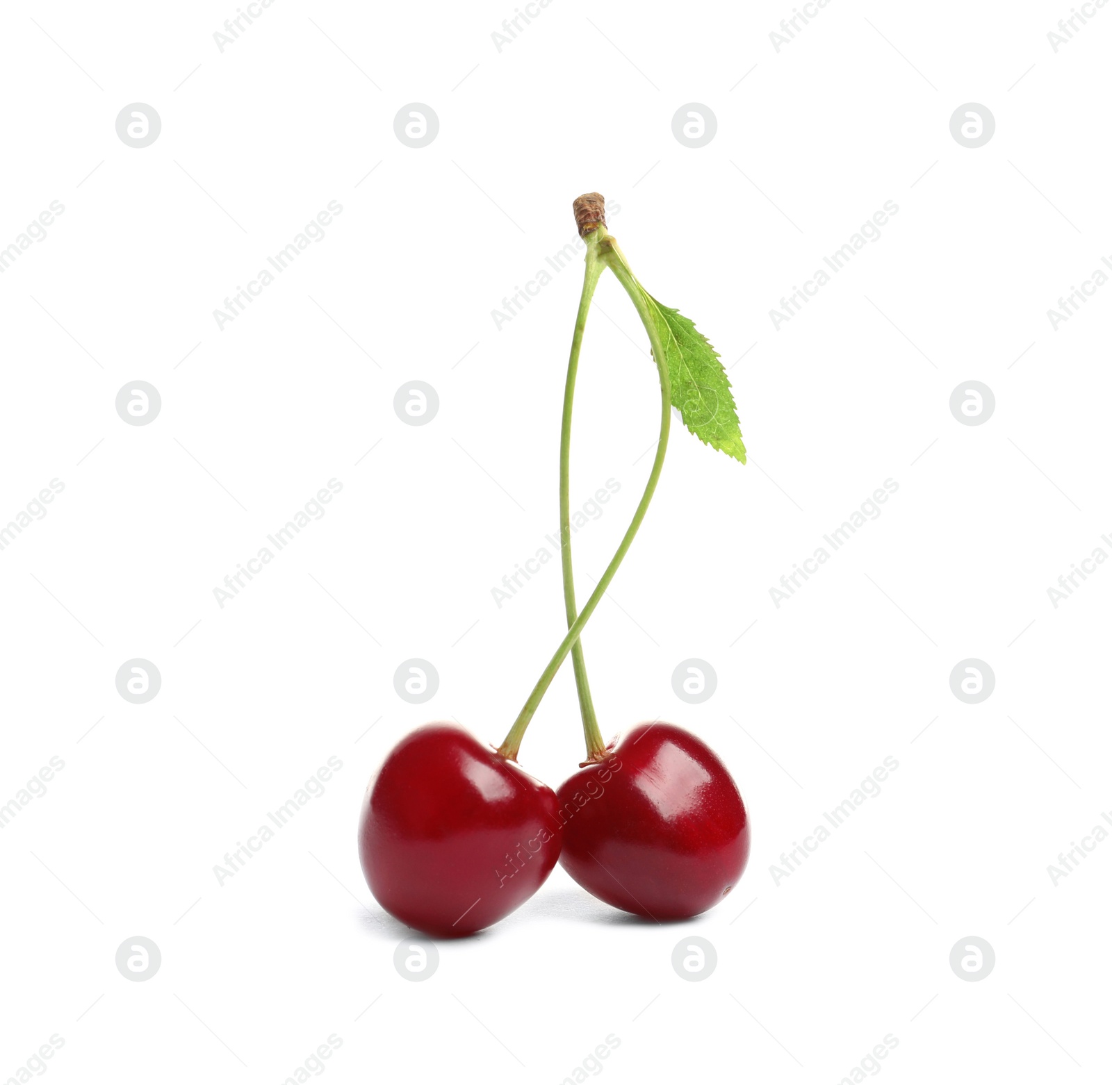 Photo of Delicious ripe sweet cherries on white background