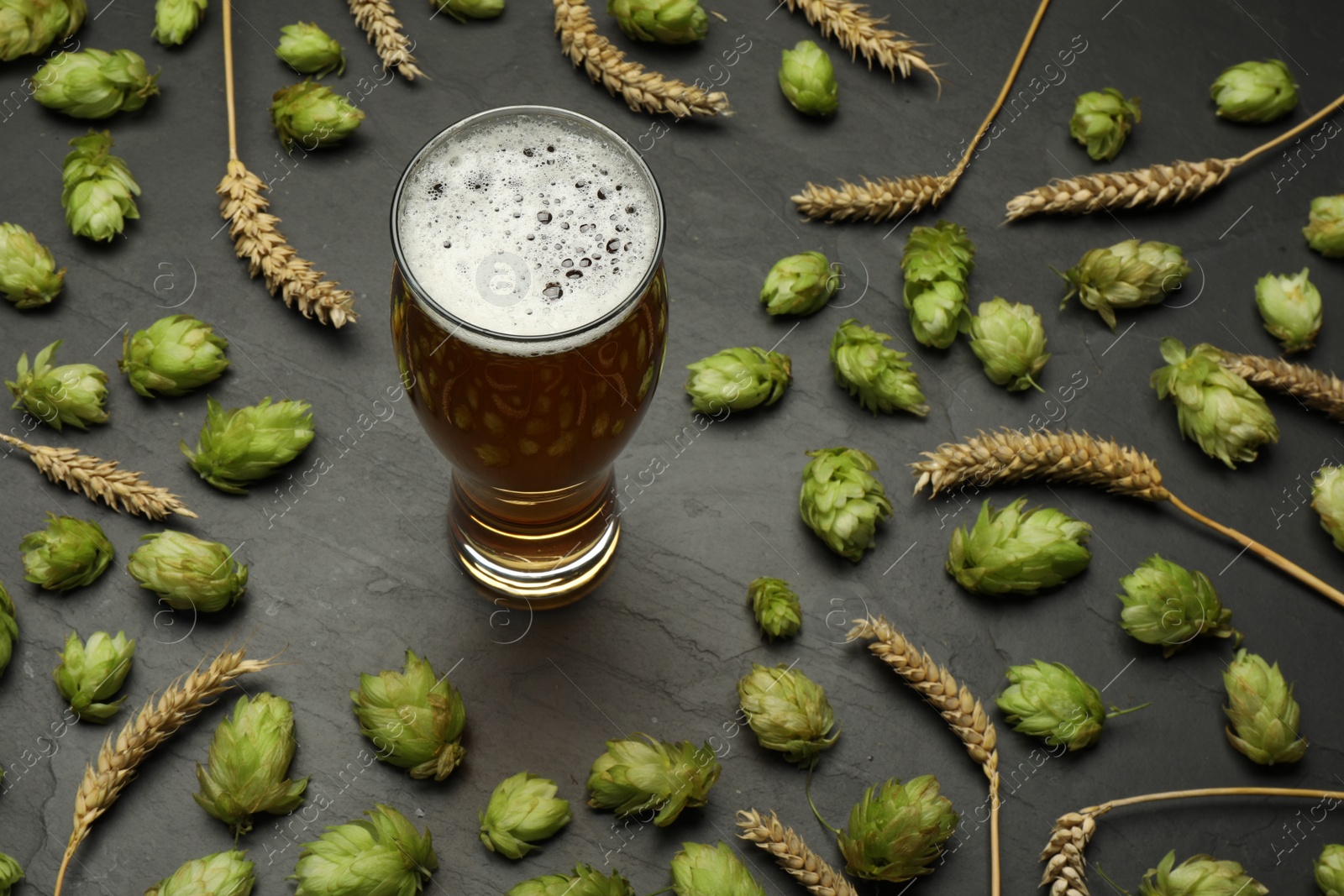 Photo of Glass of beer, fresh green hops and spikes on dark grey table