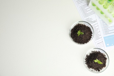 Photo of Petri dishes with soil and sprouted plants on white table, flat lay. Biological chemistry