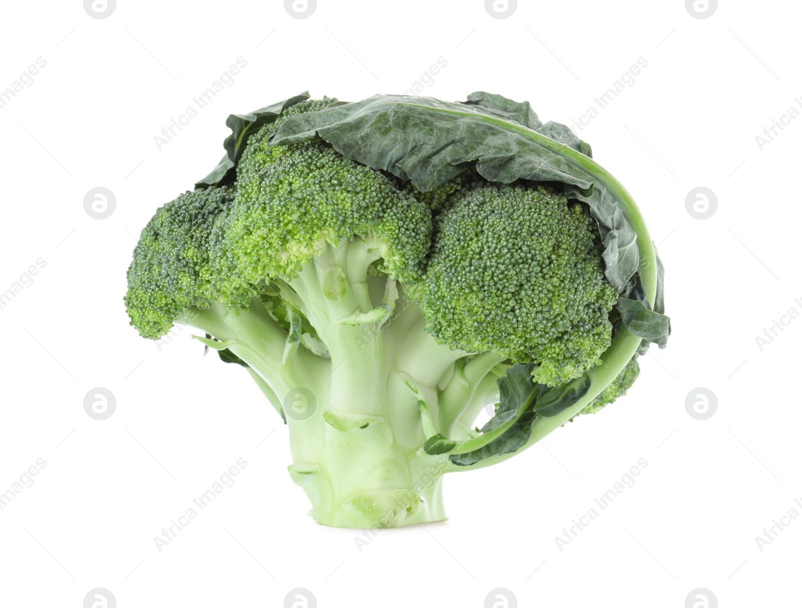 Photo of Fresh green broccoli isolated on white. Organic food