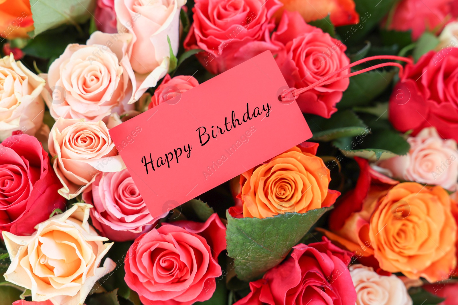 Image of Bouquet of beautiful roses with Happy Birthday card, top view