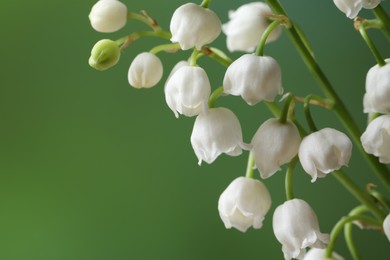 Beautiful lily of the valley flowers on blurred green background, closeup. Space for text