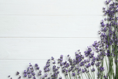 Photo of Beautiful fresh lavender flowers on white wooden background, flat lay. Space for text