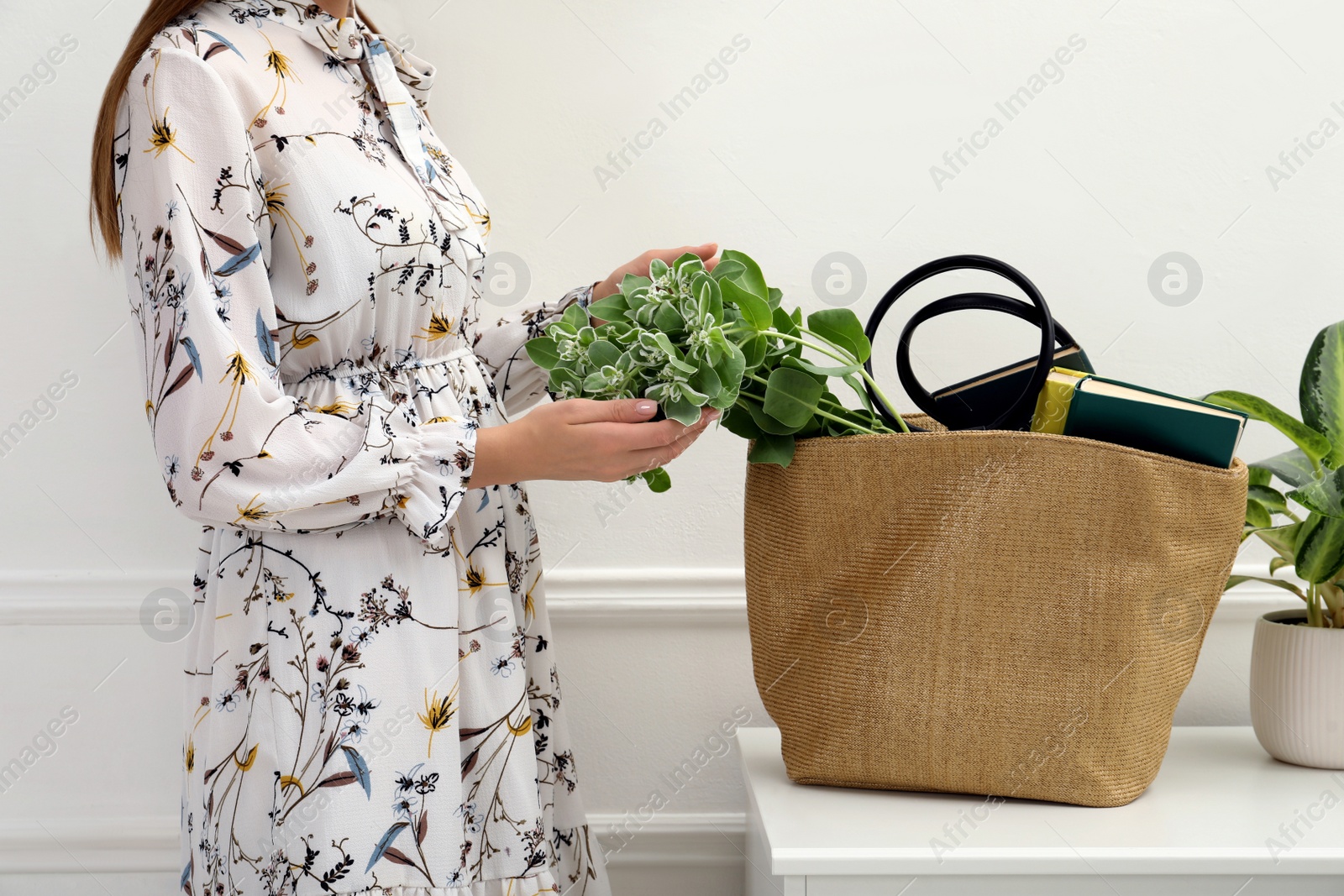Photo of Woman putting plant in beach bag indoors, closeup